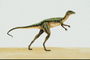 Динозавр с тонким хвостом и большими глазами