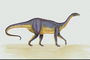Светло-фиолетовая спина динозавра