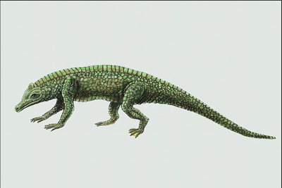 Рептилия ярко-салатового цвета с луской по всему телу