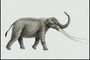 Слон с маленькими ушами и длинными белыми бивнями