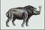 Носорог с двоиным рогом  и шерстью на спине