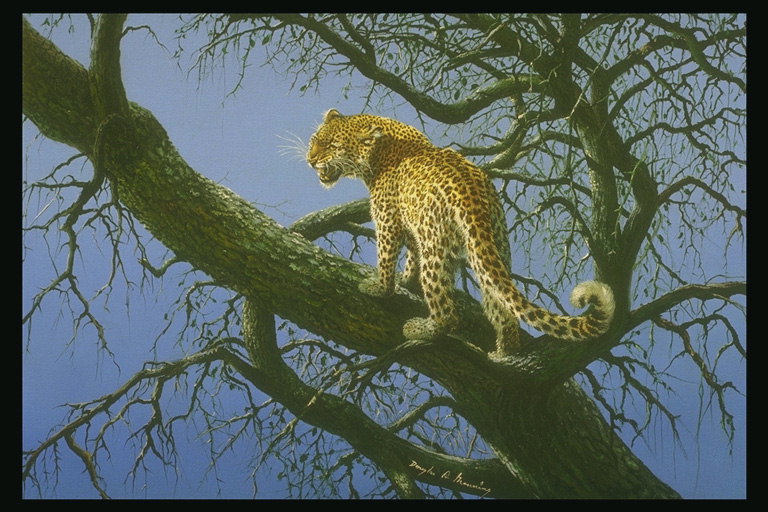 Пятнистая кошка на дереве