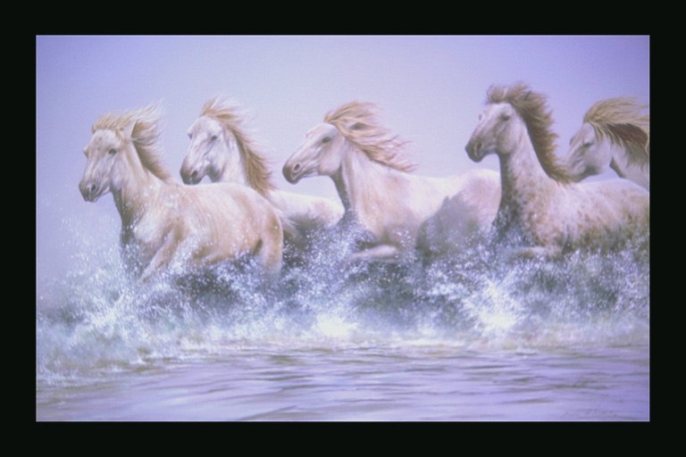 Картина. Лошади в воде. Серебристый блеск брызгов
