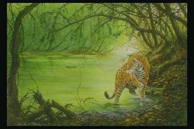 Леопард на берегу реки окруженной кустами