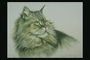 Картина. Кот пепельного цвета с черными полосками и большими зелеными глазами