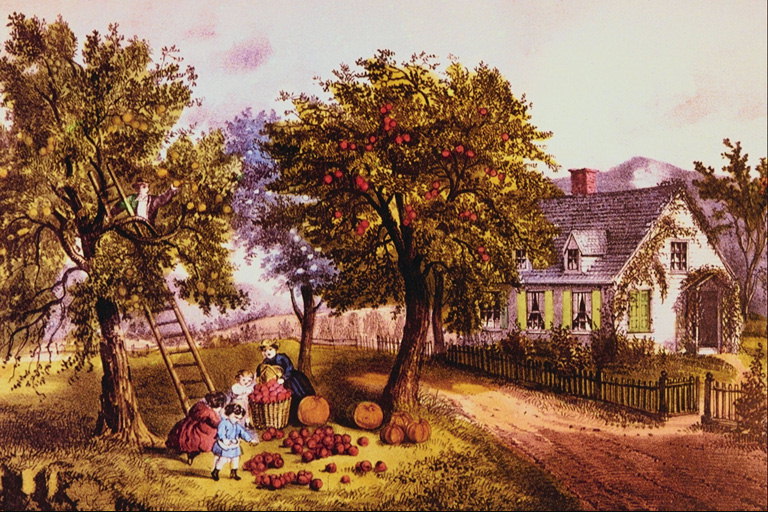 Harvest. Lieli un sarkans āboli