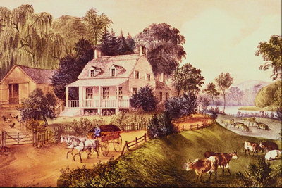 Lehmad on mäe lähedal maja