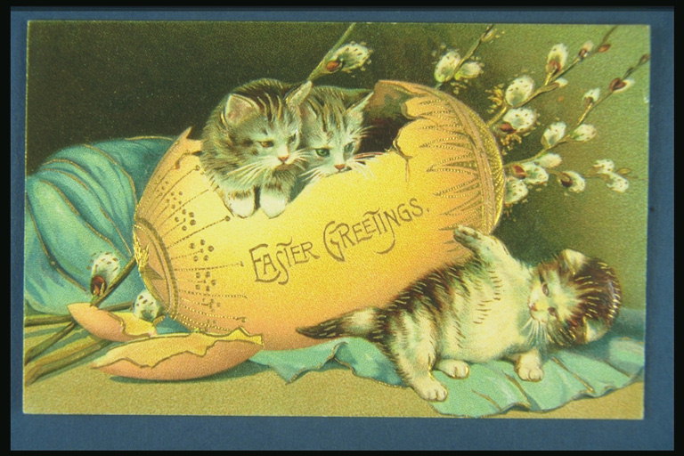 Kittens in het reservoir grote eieren