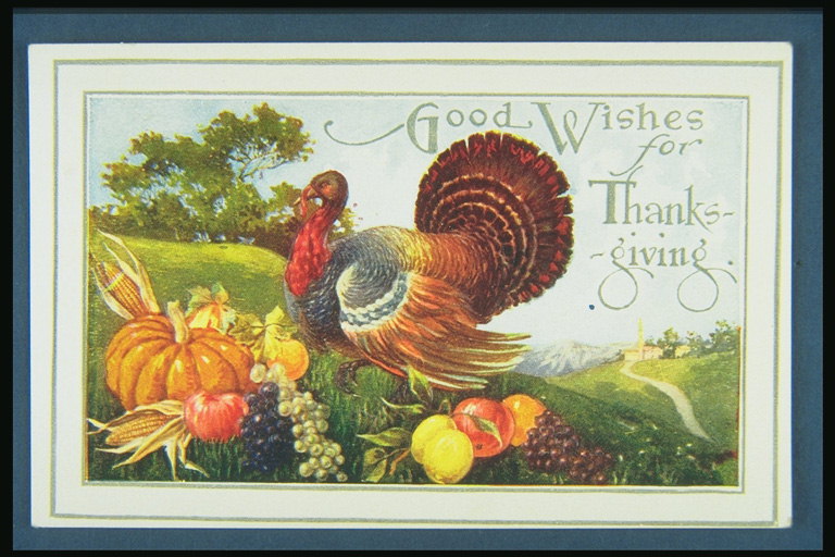 C Best soovib päeval Thanksgiving. Joonis Türgi hulgas puu-ja köögiviljade