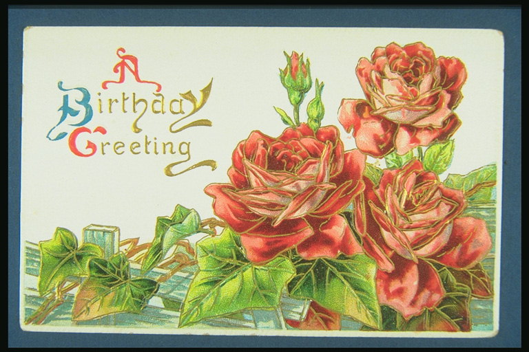 Καρτ ποστάλ. Ένα μπουκέτο τριαντάφυλλα για να τα γενέθλια