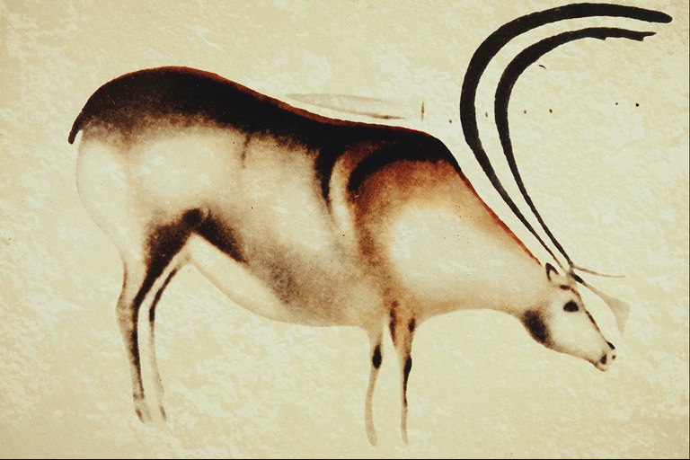 Un animal amb un llarg arc banyes