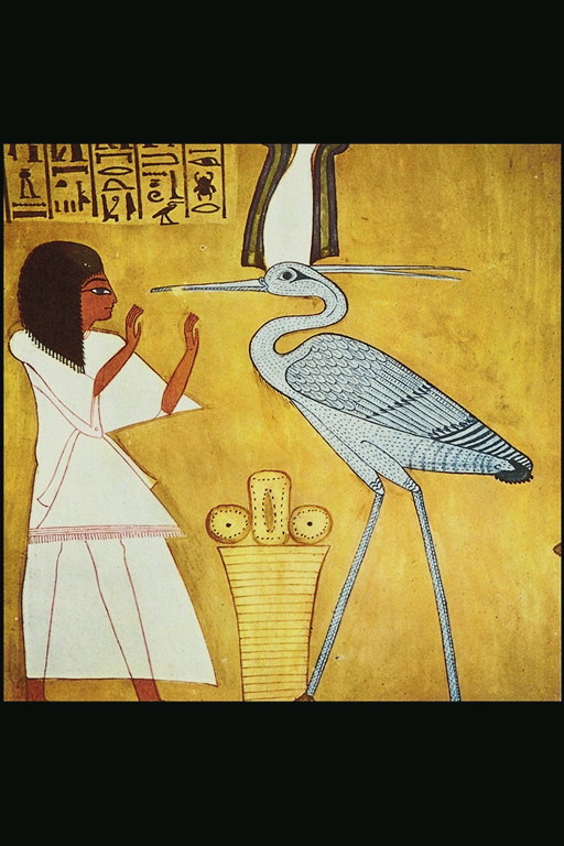 נערה עם ציפור קדושה