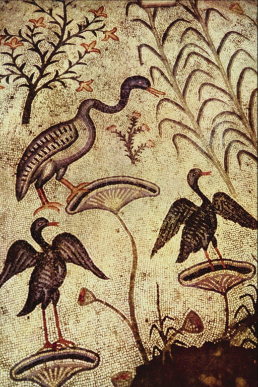 Ptice na veji rastlin