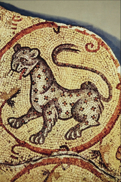 Mozaika z stubarwny kamienie. Leopard