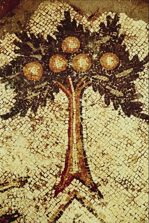 Drzewo z okrągłych owoców. Rysunek z kolorowych kamieni
