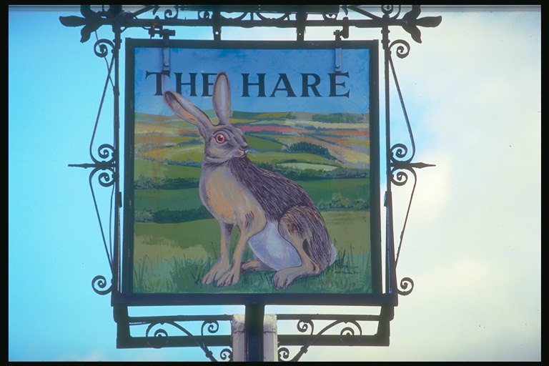 Uithangbord pub met een afbeelding van een grijze konijn op een groene weide