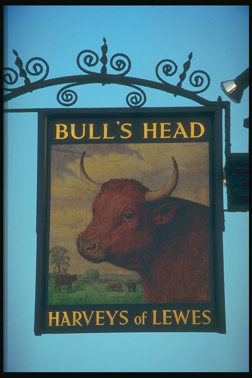 Bull\'s Head Pub. Tiġbed fuq l-isfond ta \'l-annimal natura