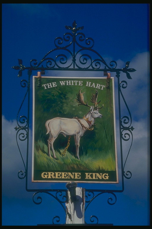 Εικόνα λευκής ελάφια. Πράσινη King Pub