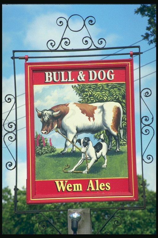 Putih bull dalam terang-coklat dan bintik-bintik hitam dan putih anjing. Menggambar di pub tanda