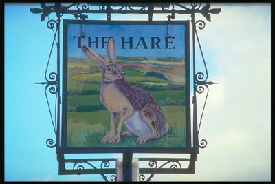 Với một bảng biểu pub depiction của một màu xám rabbit trên một màu xanh lá cây Meadow