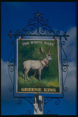 Picture of white deer. Green King Pub