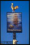 The Flying Dutchman. Signboard showing the ship. Dusk. The painting in blue tone