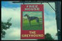 Slike Hound Dog na banner