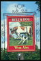 The white bull in a light-brown spots and black and white dog. Drawing on the pub sign