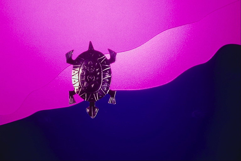 Csattal a kendõjét egy sötét színű fém formájában a teknős