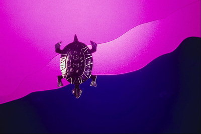 Schließe für einen Schal mit einem dunklen Metall in Form einer Schildkröte
