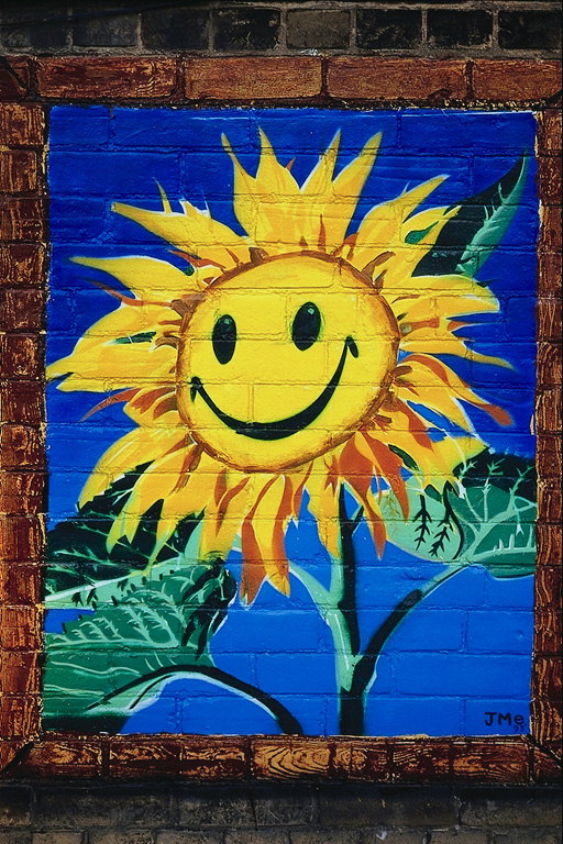Графити изобразяващи слънчоглед