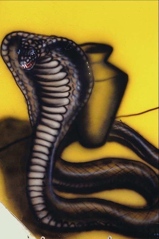 Obrázek Cobra před skákání na oběť