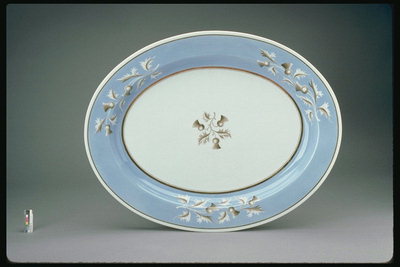 Тарелка овальной формы. Голубого цвета ободок