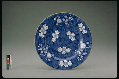 Plate in weißen und blauen Farben