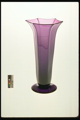 壁に直面していると紫の花の花瓶