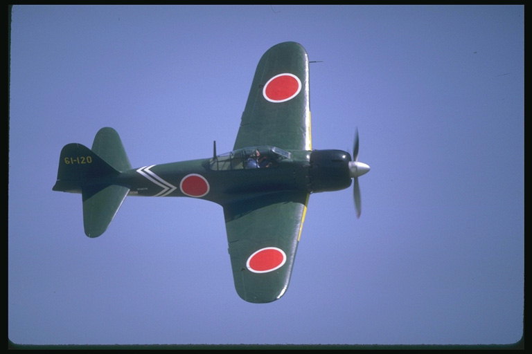 Dark-green plane with the red circle on the wings