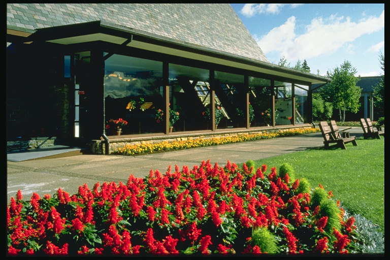 Struktur med en stor terrass med blommor i fönstret tröskeln