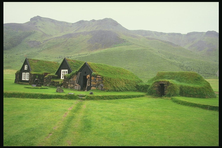 Zelena polja in strehah
