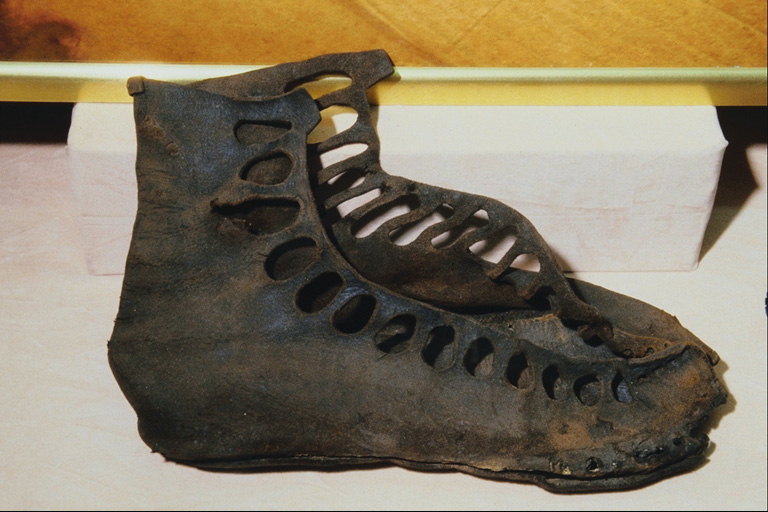 化石。 皮靴