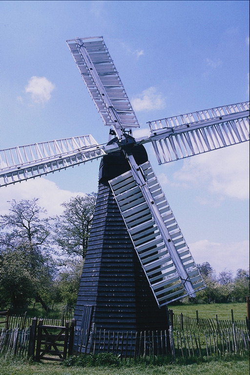 עץ Mill בתחום