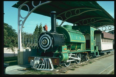 Steam grønn og vogn