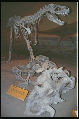 Ostaci dinosaurus