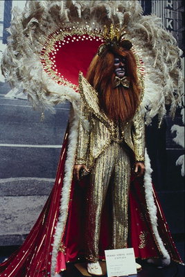 Carnival costume. Monster with tales of Beauty and the Beast