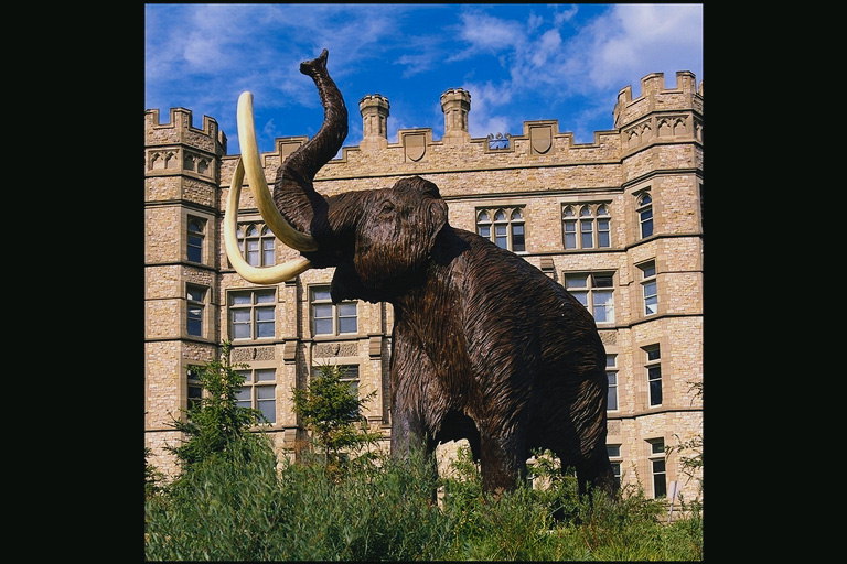 Modelo de un mamut en la pradera frente a