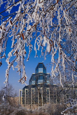 The branches in the snow. The transparent walls of the building