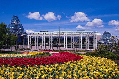 Các lĩnh vực hoa tulip ở phía trước bảo tàng
