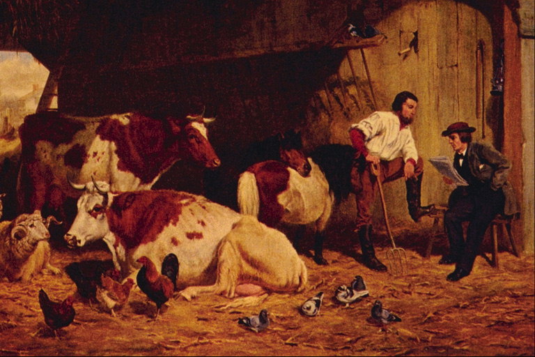 Koeien in de stal