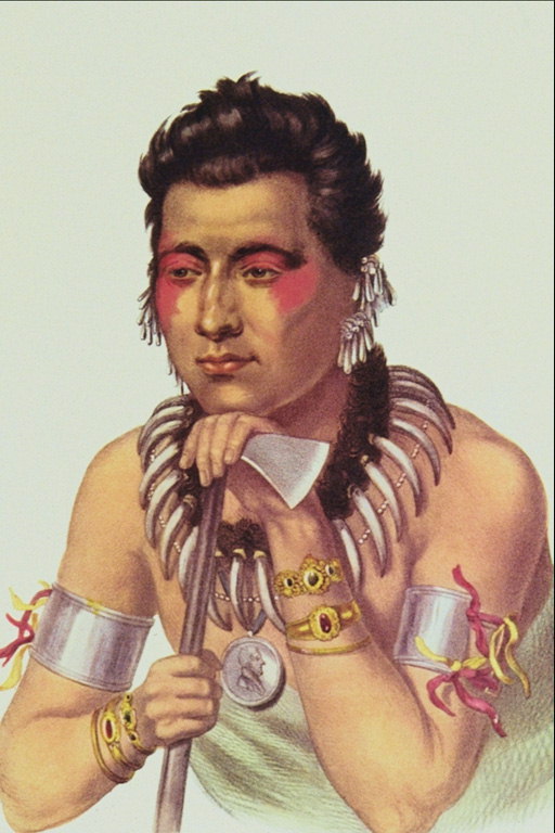 En ung indisk med ax