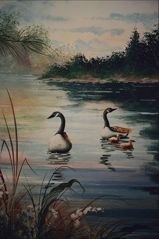Divlje patke na rijeci