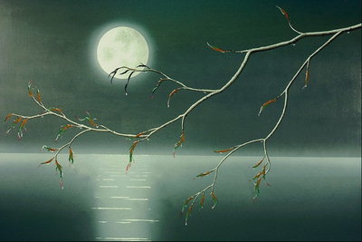 Birch cabang terhadap latar belakang langit malam. Moonlight Track